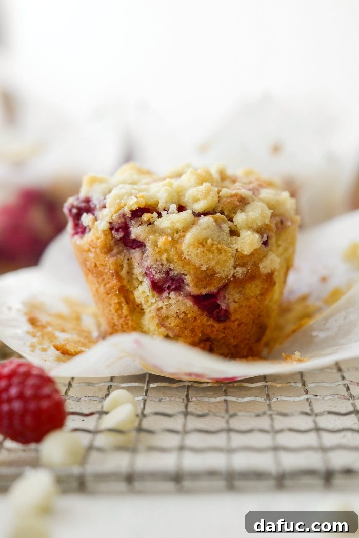 A final close-up of a Raspberry White Chocolate Streusel Muffin, showcasing its golden streusel and berries