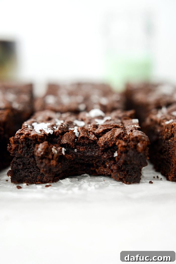 A delightful display of Salted Fudge Brownies, emphasizing their rich appearance