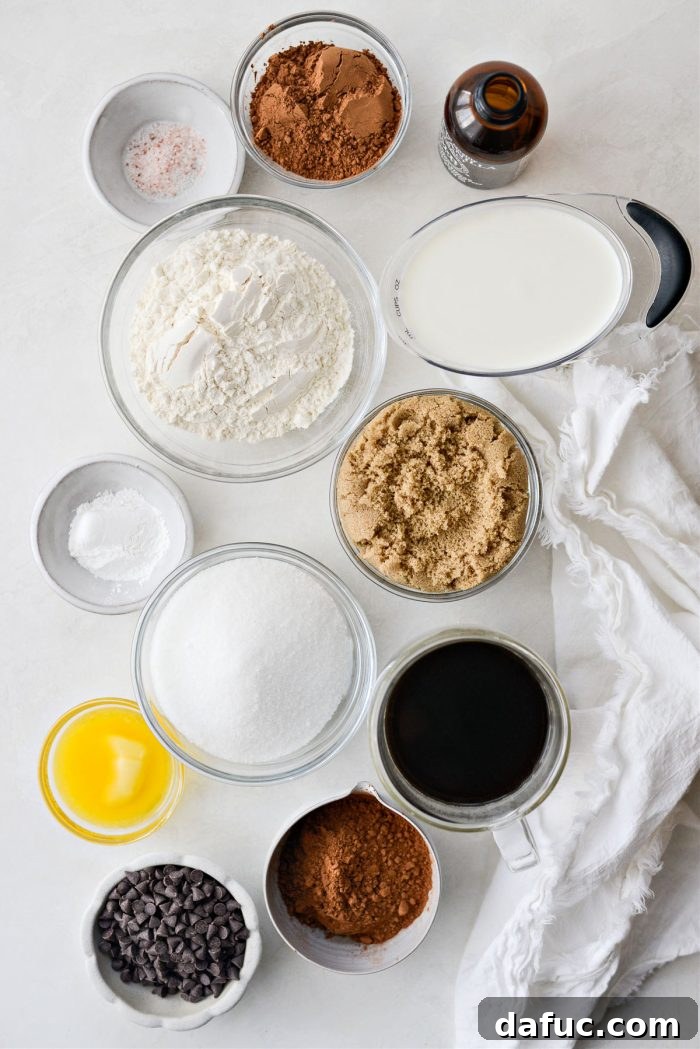 Array of fresh ingredients for Chocolate Pudding Cake laid out on a counter