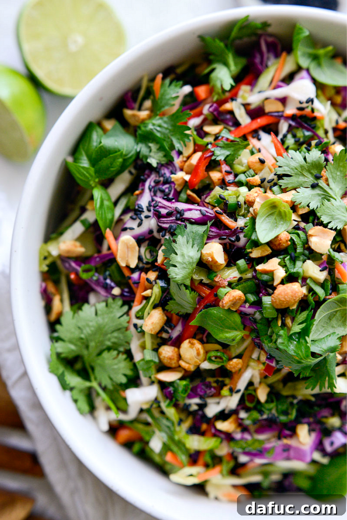 Asian Crunch Salad with Basil-Ginger Zing 2 Asian Cabbage Slaw with Basil Ginger Dressing - vibrant and fresh