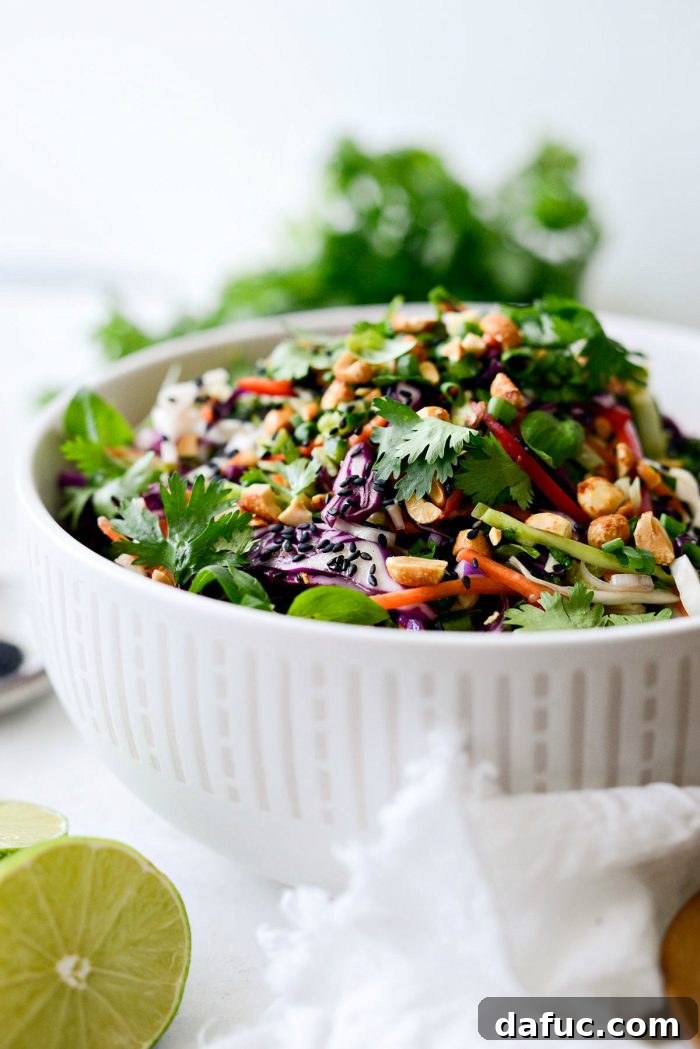Asian Crunch Salad with Basil-Ginger Zing 13 Closeup of Asian Cabbage Slaw with Basil Ginger Dressing
