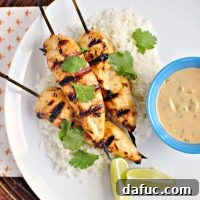 Thai Chicken Satay Recipe Image