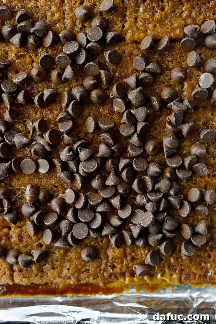 Salty Sweet Toffee Crunch 10 Chocolate chips generously sprinkled over the hot, baked saltine toffee.