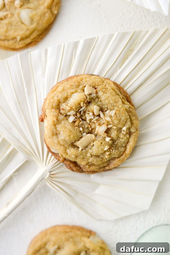 Gourmet White Chocolate Macadamia Nut Treasures 2 White Chocolate Chunk Macadamia Nut Cookies, freshly baked