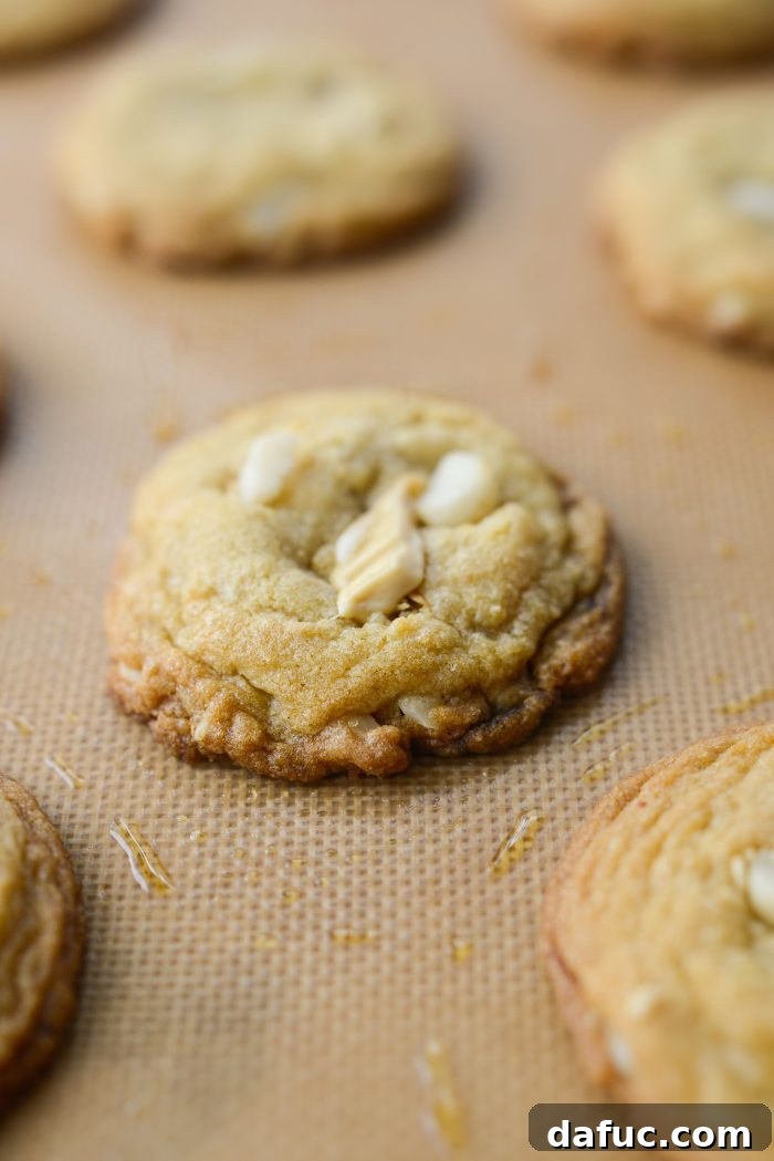 Gourmet White Chocolate Macadamia Nut Treasures 14 Baking White Chocolate Chunk Macadamia Nut Cookies for 8 to 10 minutes