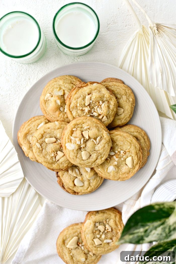 Gourmet White Chocolate Macadamia Nut Treasures 16 A stack of delicious White Chocolate Chunk Macadamia Nut Cookies