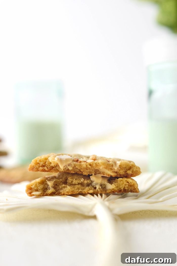 Gourmet White Chocolate Macadamia Nut Treasures 18 A final, close-up shot of the irresistible White Chocolate Chunk Macadamia Nut Cookies