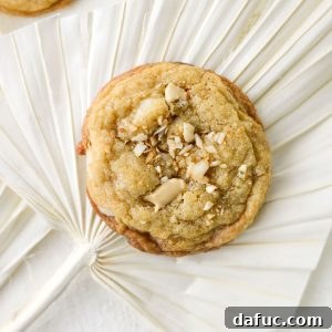 Gourmet White Chocolate Macadamia Nut Treasures 19 White Chocolate Chunk Macadamia Nut Cookies