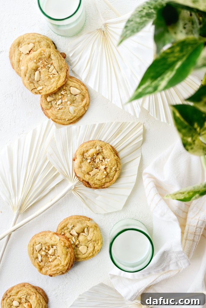 Gourmet White Chocolate Macadamia Nut Treasures 3 Warm White Chocolate Chunk Macadamia Nut Cookies cooling