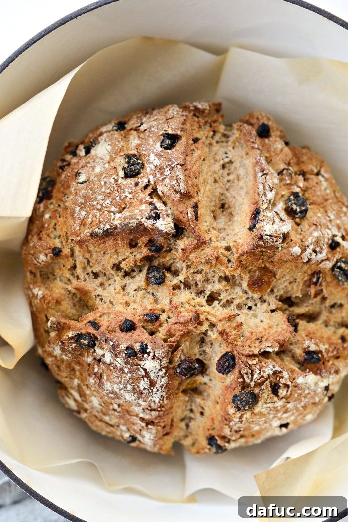 Hearty Irish Fruit Wheaten 2 Raisin and Currant Irish Wheaten Bread
