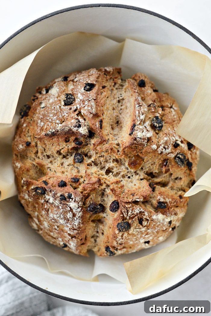 Hearty Irish Fruit Wheaten 14 freshly baked Raisin and Currant Irish Wheaten Bread