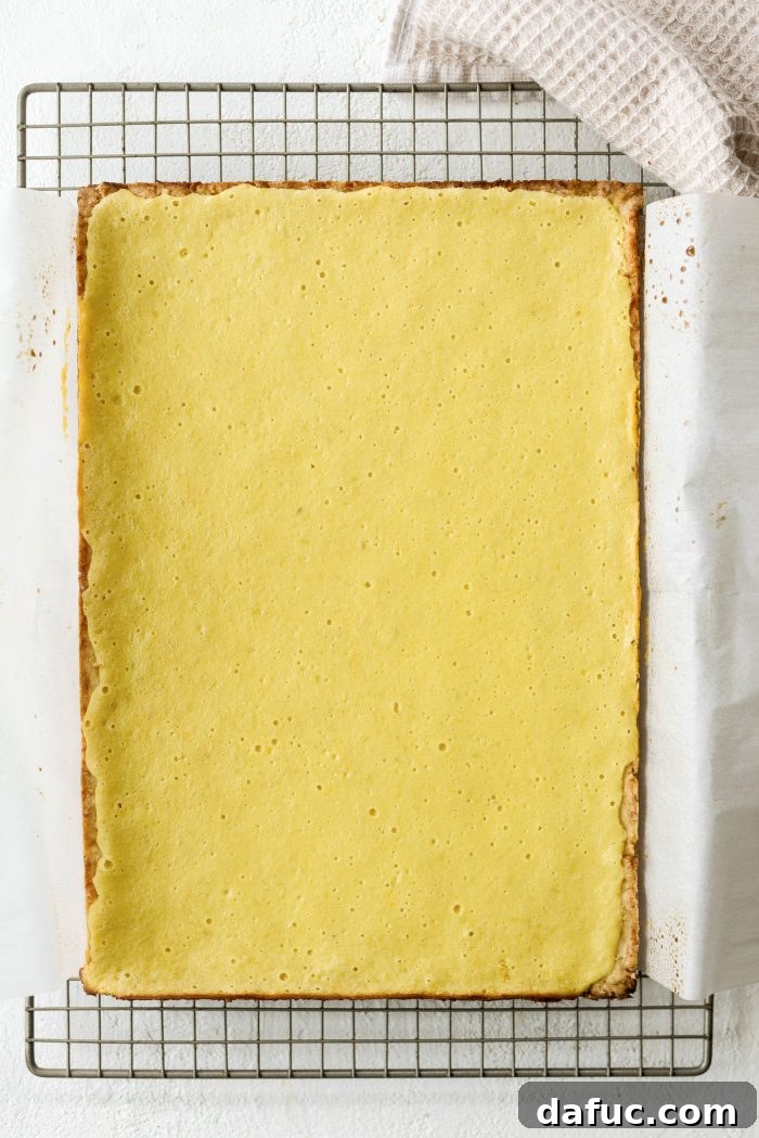 Lemongrass and Coconut Shortbread Bars 21 Remove baked bars from pan and let cool on wire rack