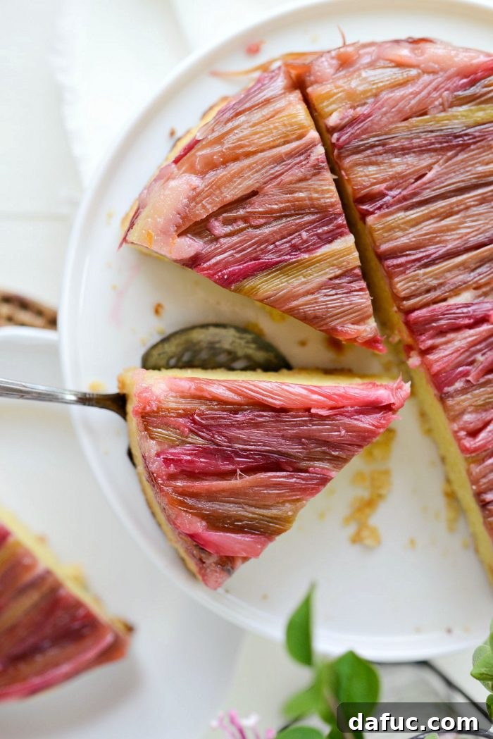 Martha Sweet Rhubarb Flip 2 Close up of Martha's Rhubarb Upside Down Cake, showing the beautiful rhubarb mosaic top and crumbly bottom