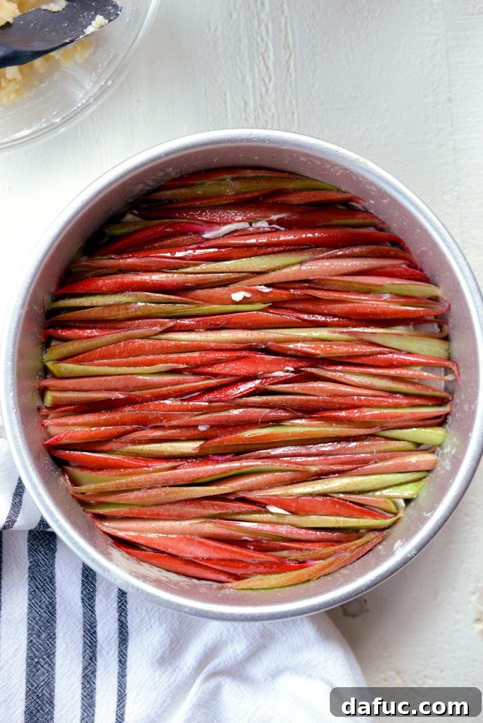 Martha Sweet Rhubarb Flip 11 Sliced rhubarb carefully pressed into a mosaic pattern in the prepared cake pan