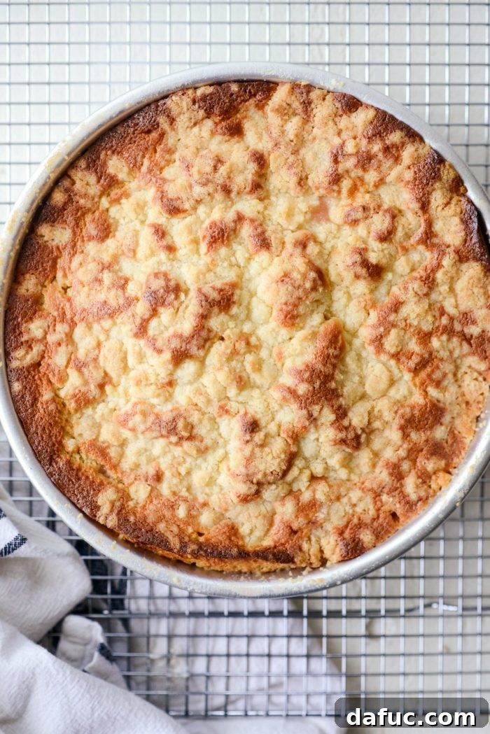 Martha Sweet Rhubarb Flip 24 Freshly baked Martha's Rhubarb Upside Down Cake, golden brown and bubbling