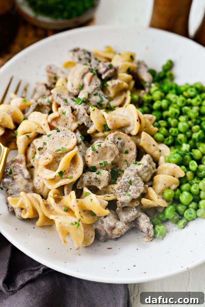 Hearty Homestyle Beef Stroganoff 3 Upgraded homemade Beef Stroganoff recipe ingredients