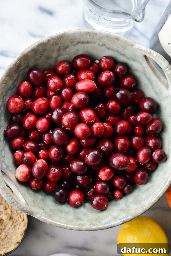 Decadent Cabernet Roasted Cranberry Sauce 4 rinsed fresh cranberries