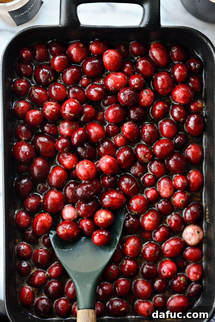 Decadent Cabernet Roasted Cranberry Sauce 10 mix