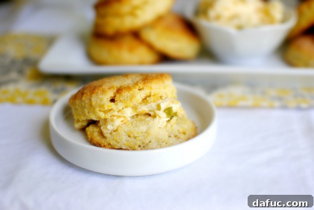 close up Final close-up of a cornmeal buttermilk biscuit, showing its texture.