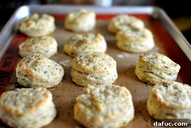 Savory Chive and Cracked Pepper Buttermilk Biscuits 2 Freshly baked Black Pepper Chive Buttermilk Biscuits