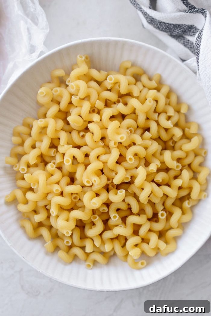 dried cavatappi pasta