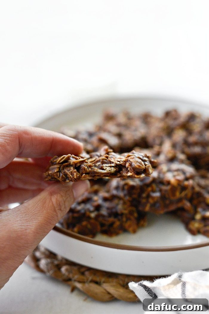 Fudgy No-Bake Oatmeal Delights 15 Delicious and easy No-Bake Oatmeal Cookies ready to be eaten