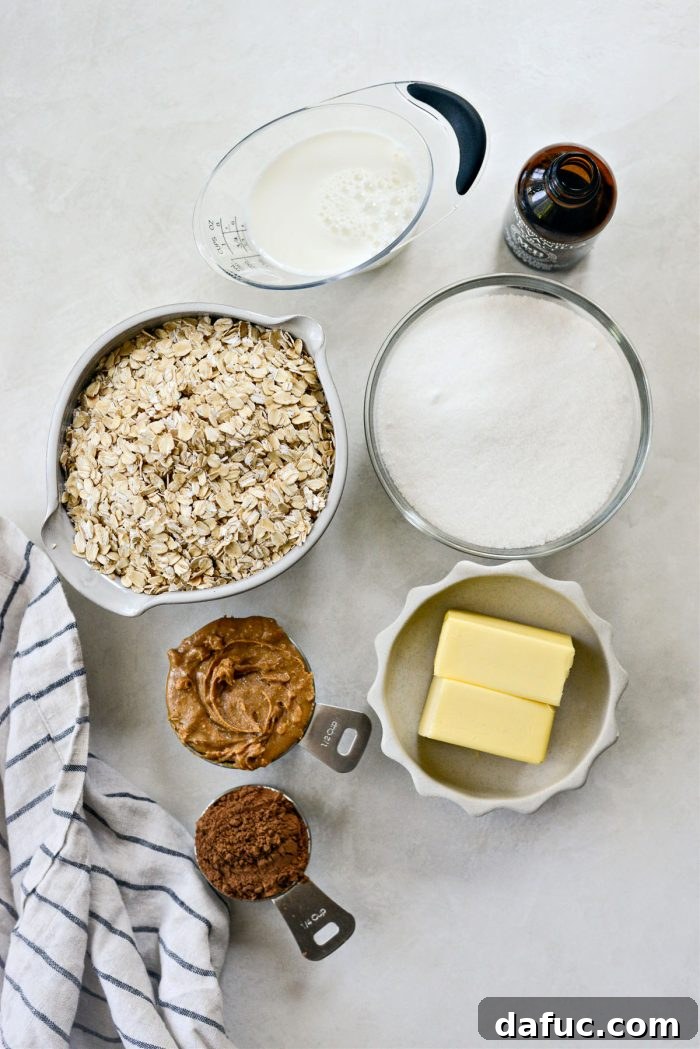 Fudgy No-Bake Oatmeal Delights 4 Ingredients for No-Bake Chocolate Oatmeal Cookies laid out on a table