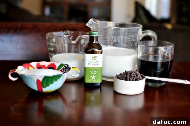 Ingredients for homemade Chocolate Chip Coffee Ice Cream