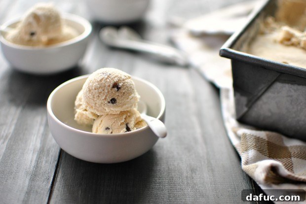 A scoop of homemade Chocolate Chip Coffee Ice Cream