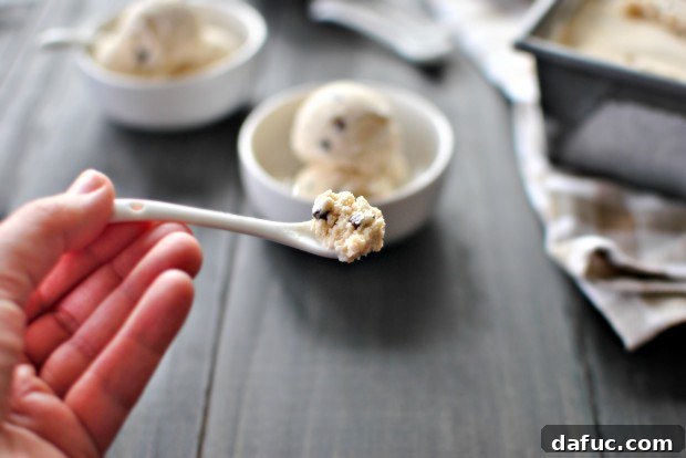 Close up of a spoonful of Coffee Chocolate Chip Ice Cream