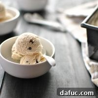 Homemade Chocolate Chip Coffee Ice Cream