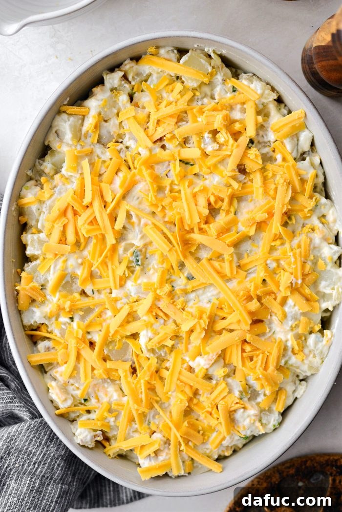 A baked cheesy potato casserole cooling on a kitchen counter