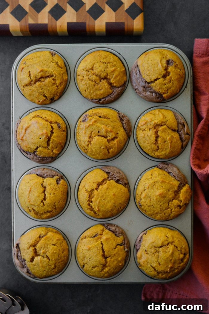 Nutella Ribbon Pumpkin Cheesecake Muffins 17 Nutella Cheesecake Pumpkin Muffins