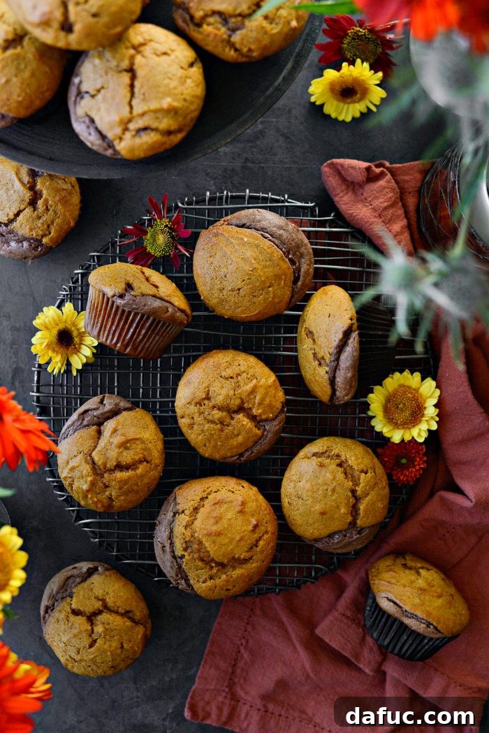 Nutella Ribbon Pumpkin Cheesecake Muffins 18 Nutella Cheesecake Pumpkin Muffins