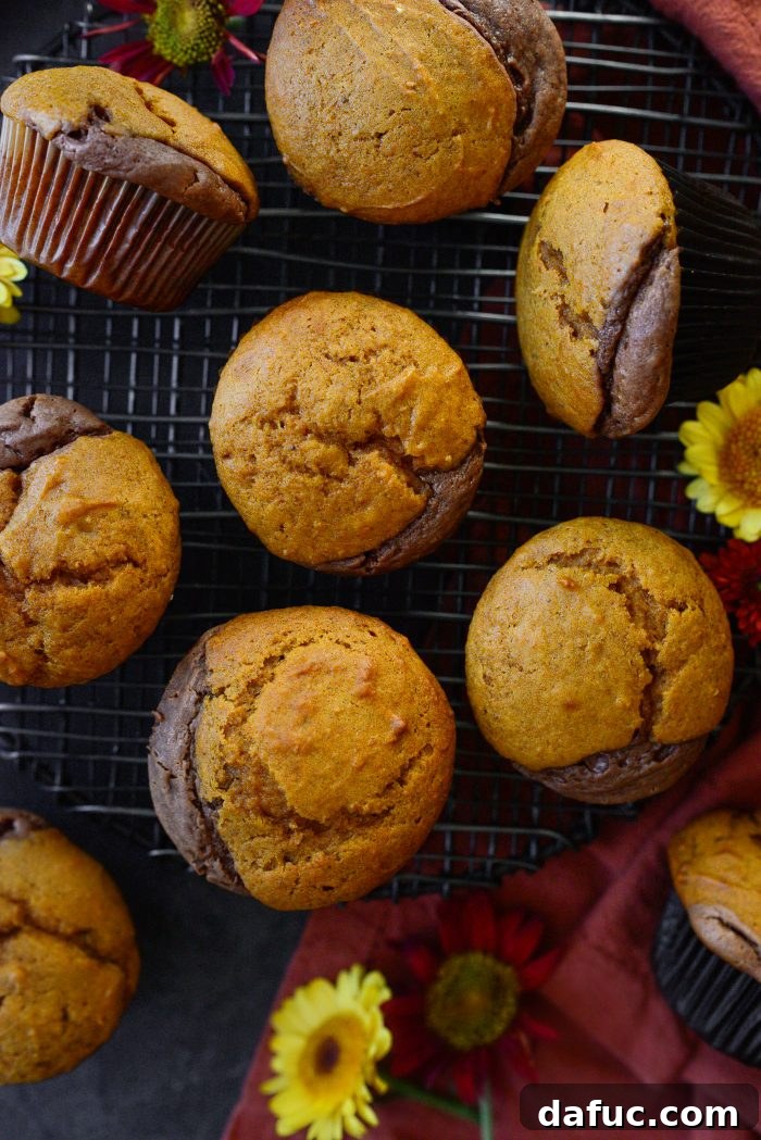 Nutella Ribbon Pumpkin Cheesecake Muffins 19 Nutella Cheesecake Pumpkin Muffins