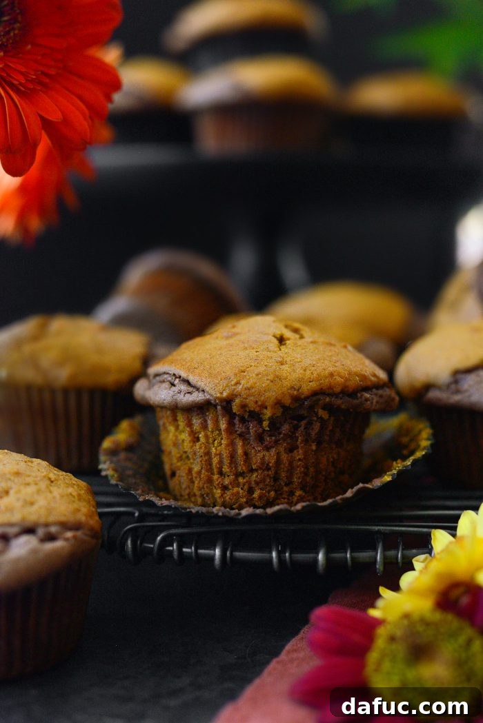 Nutella Ribbon Pumpkin Cheesecake Muffins 20 Nutella Cheesecake Pumpkin Muffins