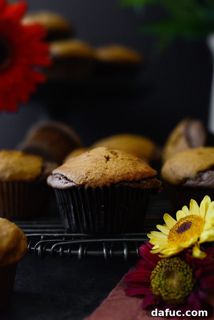 Nutella Ribbon Pumpkin Cheesecake Muffins 3 Nutella Cheesecake Pumpkin Muffins