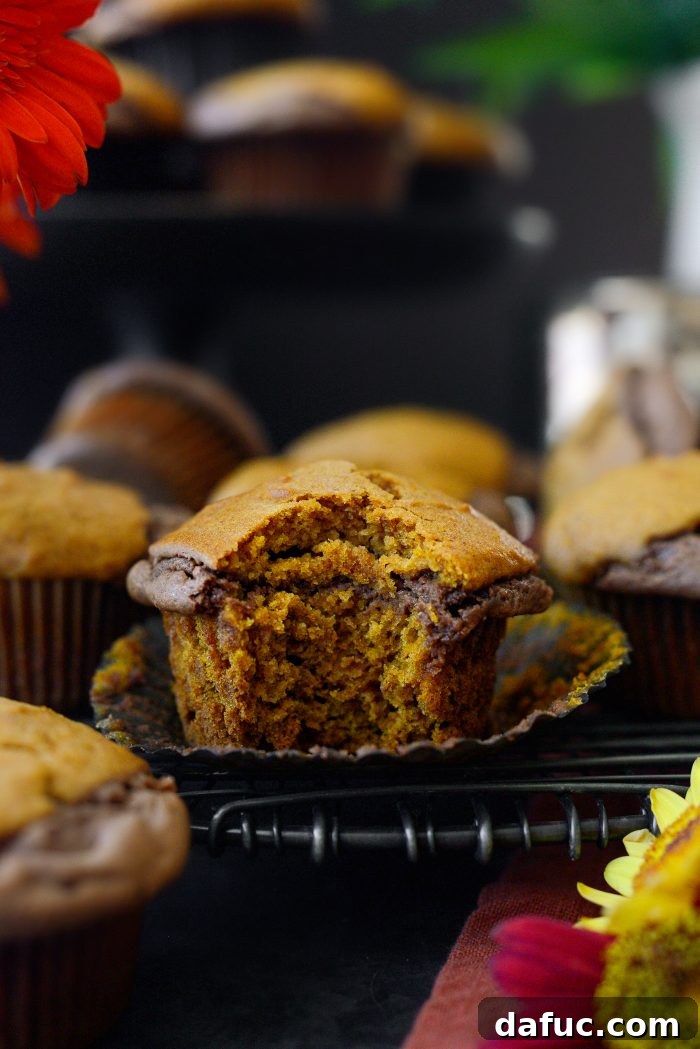 Nutella Ribbon Pumpkin Cheesecake Muffins 21 Nutella Cheesecake Pumpkin Muffins