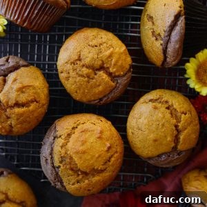 Nutella Cheesecake Pumpkin Muffins