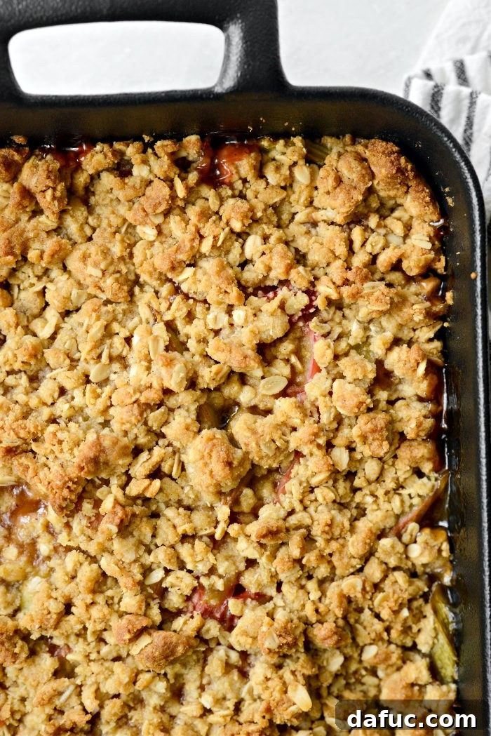 Golden Baked Rhubarb Crumble 16 baked rhubarb crumble