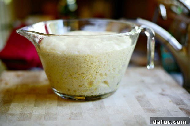 Freshly made flatbread dough, ready to be rolled out and transformed into a delicious meal.