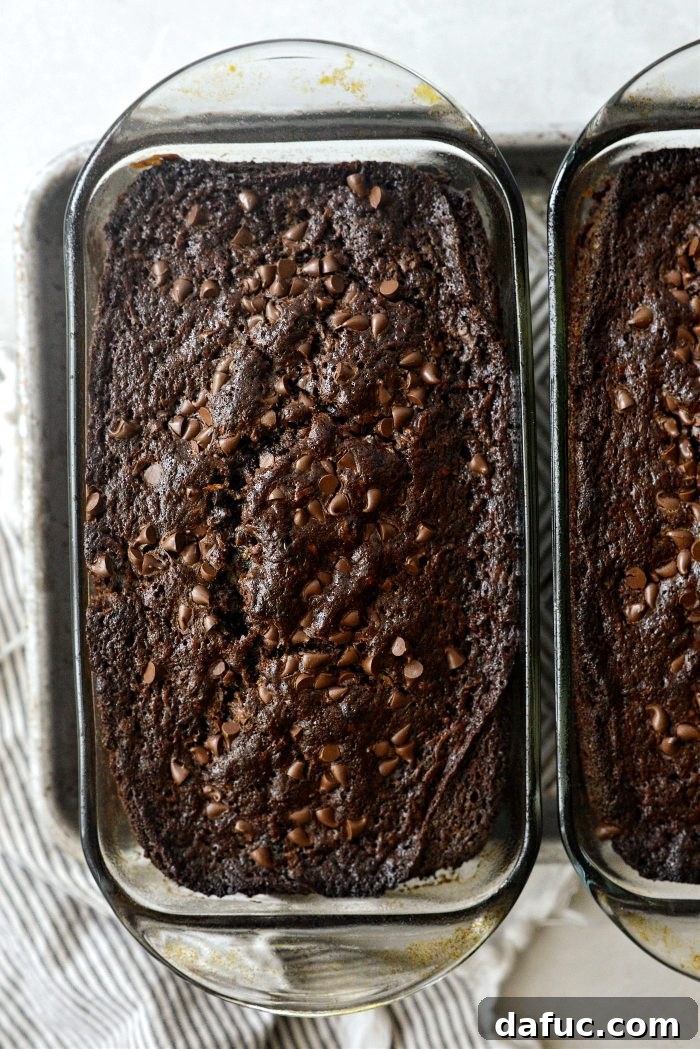Fudgy Double Chocolate Zucchini Bread 18 Baked Chocolate Chocolate Chip Zucchini Bread