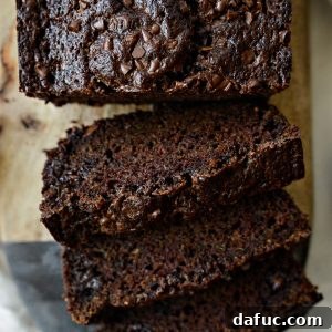 Chocolate Chocolate Chip Zucchini Bread