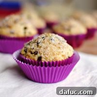 Sugar Crusted Chocolate Chip Muffins