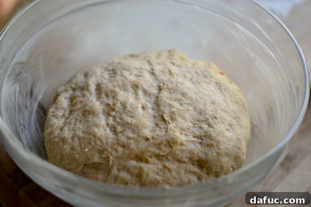 Pillowy Naan Perfection at Home 22 Naan dough after rising, doubled in size and ready to be punched down.