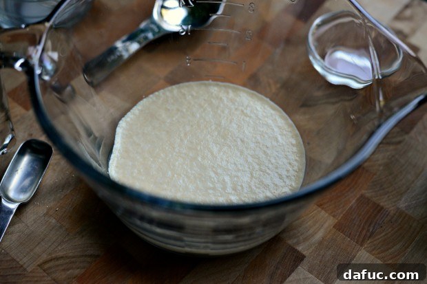 Pillowy Naan Perfection at Home 8 The yeast mixture after 10 minutes, showing significant foam indicating successful activation.