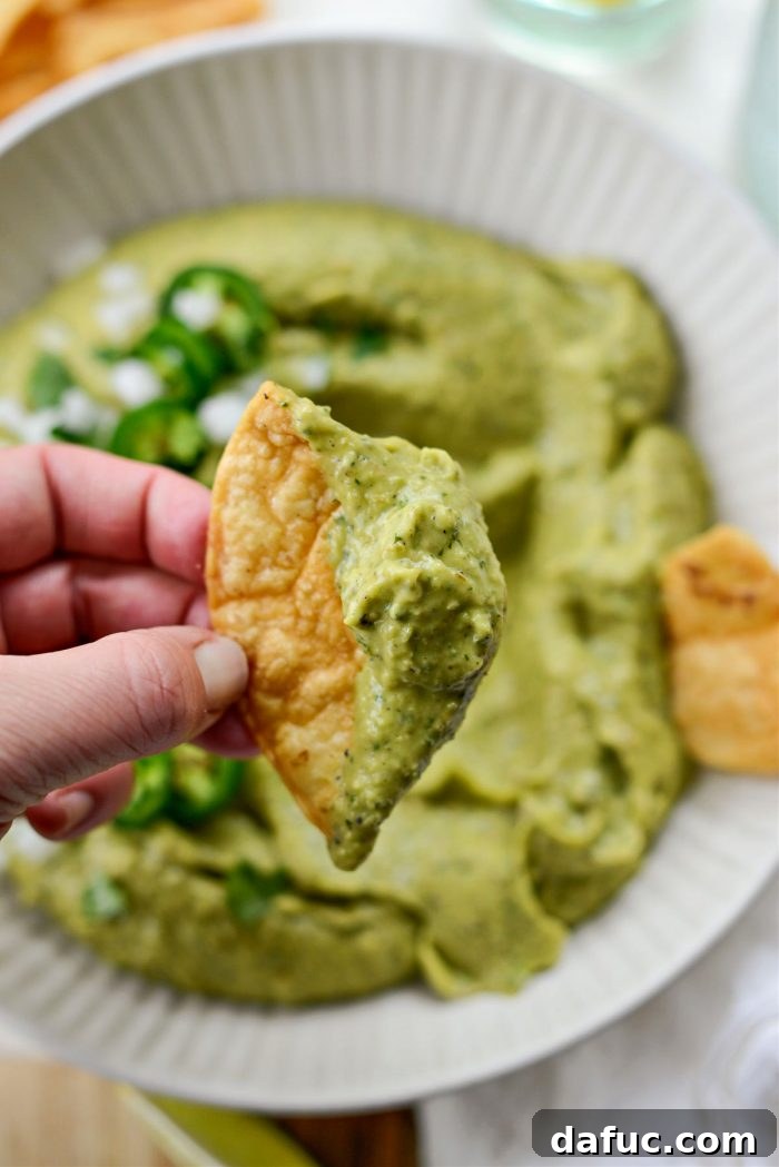 Zesty Tomatillo Avocado Salsa 19 Tomatillo Avocado Salsa recipe, a final inviting shot.