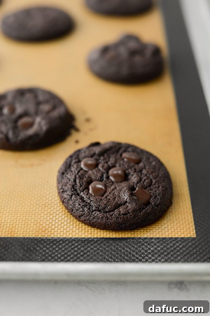 Decadent Merlot-Infused Dark Chocolate Cookies 18 Double Dark Chocolate Merlot Cookies baking in the oven, with edges just starting to crisp.