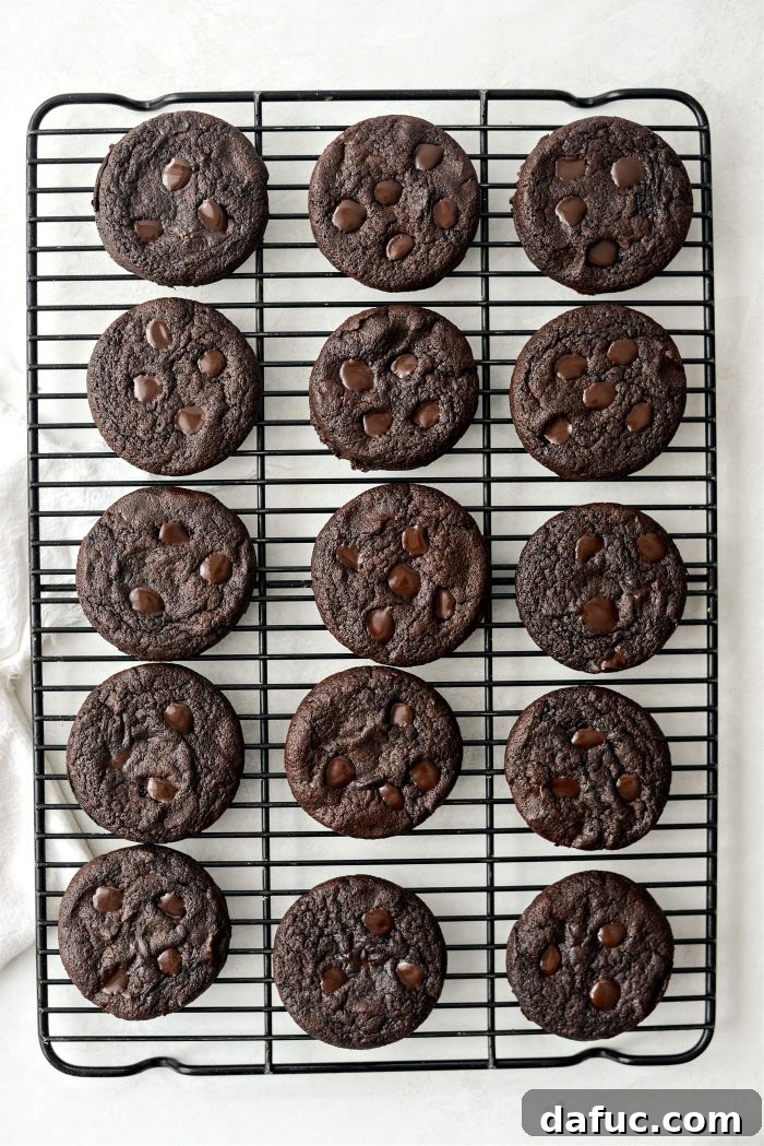 Decadent Merlot-Infused Dark Chocolate Cookies 19 Freshly baked Double Dark Chocolate Merlot Cookies cooling on a wire rack.