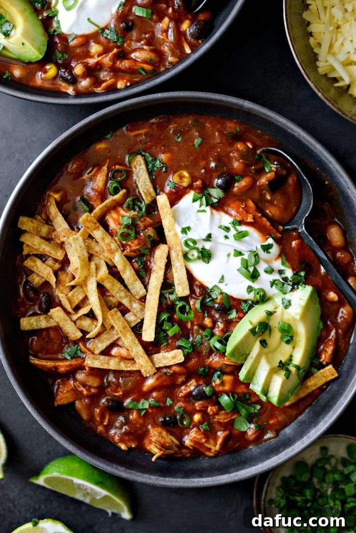 Final presentation of Southwest Chicken Chili in a bowl, ready to eat